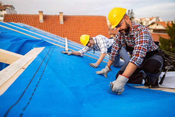 Best Metal Roofing Contractor  in Mandeville, LA